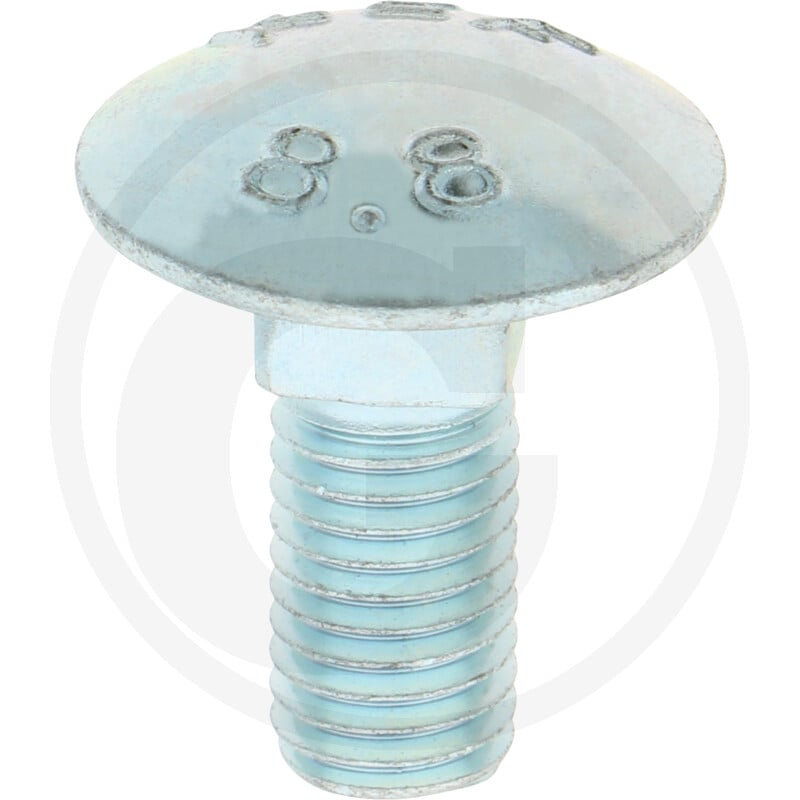 DIN 603 M12x30 V Schraube
